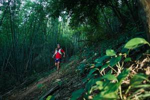 BIB: 
                            <button type="button" onclick="openModal(28124834)" class="btn btn-primary btn-sm float-right btn-popup" data-toggle="modal" data-target=".modal-high-quality">
                        <i class="fas fa-shopping-cart"></i> Add to Cart
                    </button>
                                            <button type="button" onclick="isThisMe(28124834, true)" class="btn btn-success btn-sm float-right btn-popup btn-isme hidden" data-toggle="tooltip" data-placement="bottom" title="นี่คือรูปของคุณใช่ไหม คลิกที่นี่เพื่อเอาเข้าอัลบั้ม">
                        <i class="fas fa-plus"></i> Add to album
                    </button>
                    <button type="button" onclick="isThisMe(28124834, false)" class="btn btn-warning btn-sm float-right btn-popup btn-isnotme hidden">
                        <i class="fas fa-ban"></i> Remove from album
                    </button>